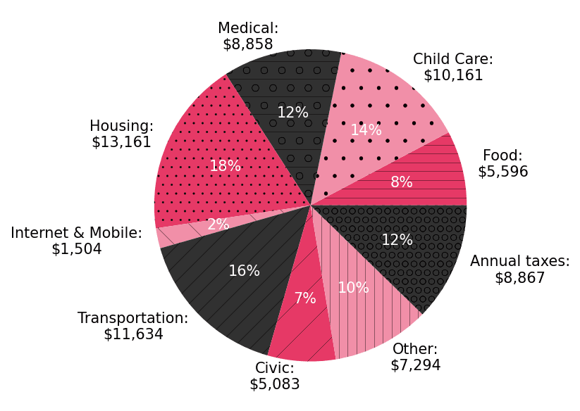 Graph Basic Annual Living Expenses by Category